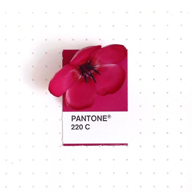 Pantone 004