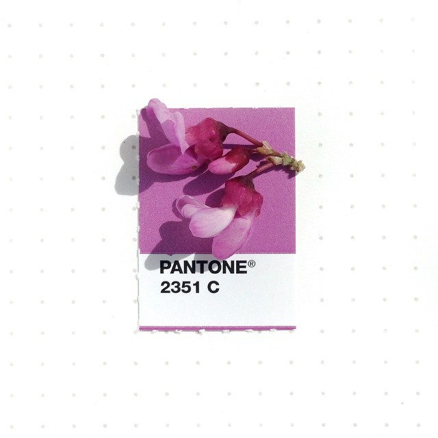 Pantone 070