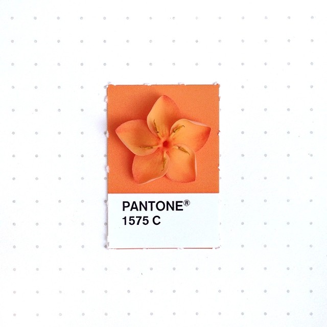 Pantone 079