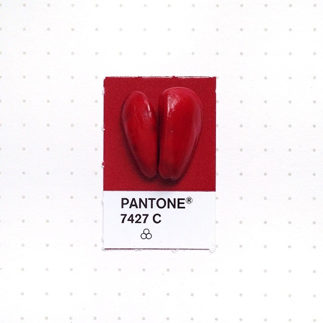 Pantone 088