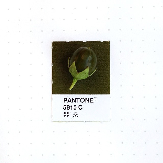 Pantone 097