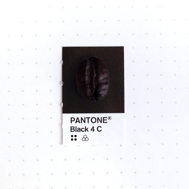 Pantone 120
